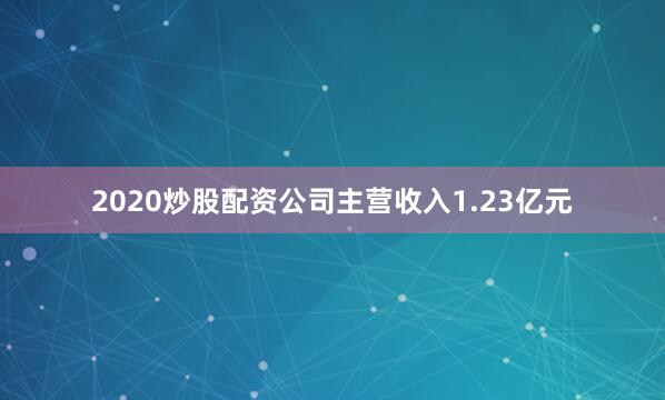 2020炒股配资公司主营收入1.23亿元