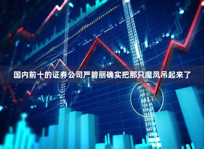 国内前十的证券公司严碧丽确实把那只魔凤吊起来了