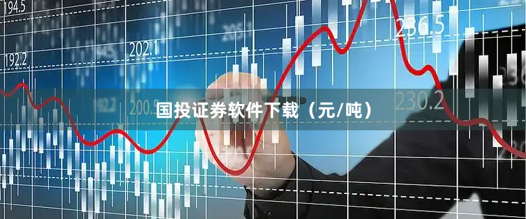 国投证券软件下载（元/吨）