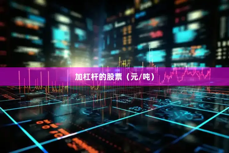 加杠杆的股票（元/吨）